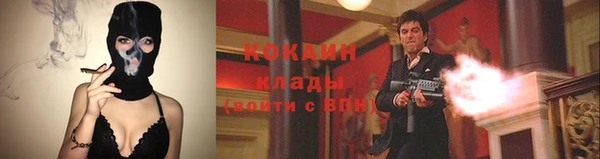 кокс Алексеевка