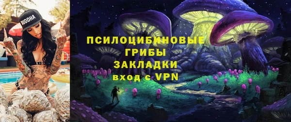 кокс Алексеевка