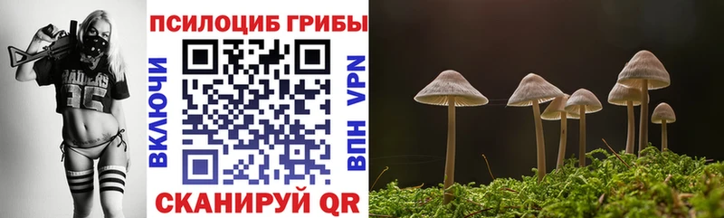где купить   Тайшет  Псилоцибиновые грибы мухоморы 