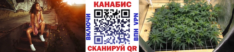 Бошки Шишки план  купить  сайты  Тайшет 